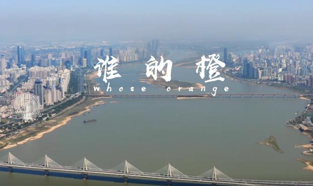 誰的橙