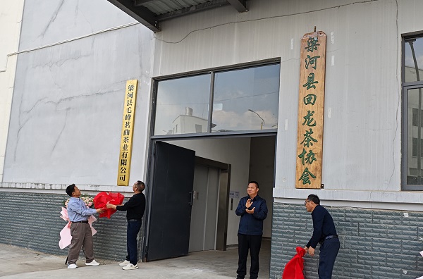 春茶飄香季 監(jiān)督正當時 梁河縣護航“金葉子”助農(nóng)增收